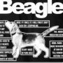 RogueBeagle