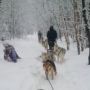 Sillysnowdogs